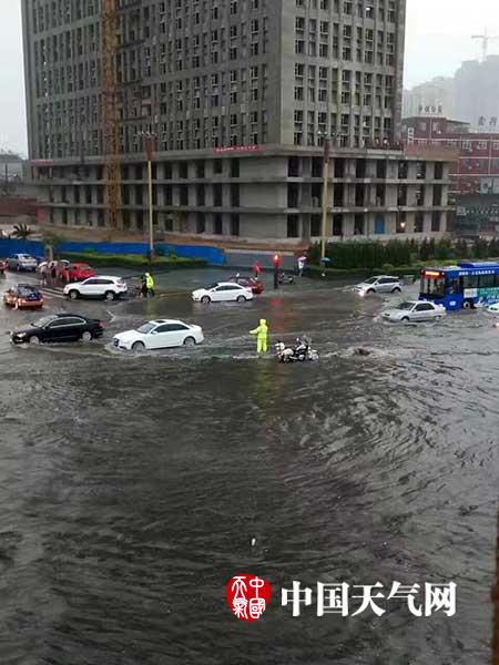 一极性爱无码视频