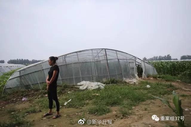 鈴原愛蜜莉