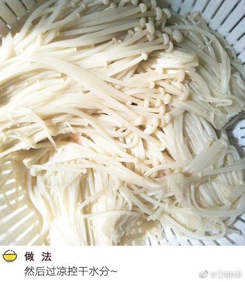 高清 成人 网