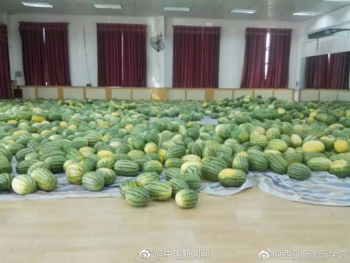 永作博美
