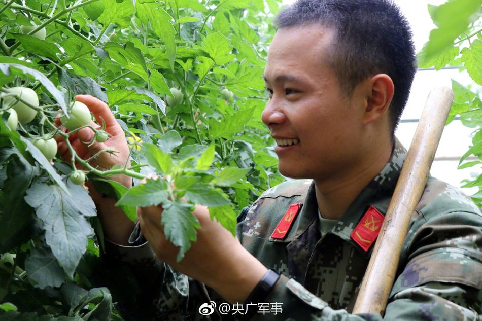 黄上黄免视频