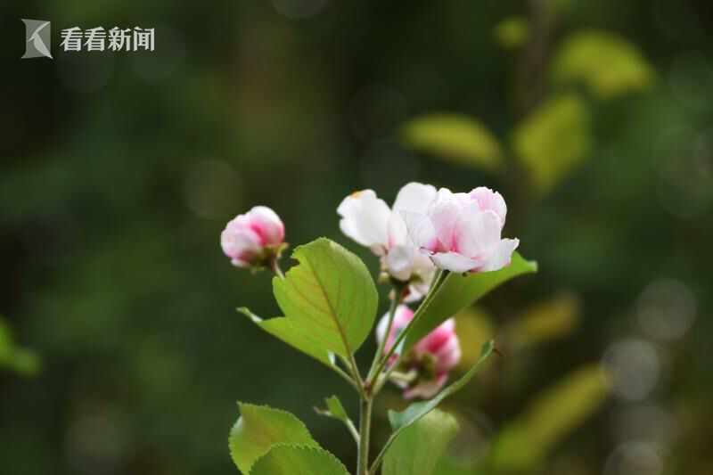真实人妻尝试3p的故事