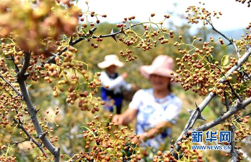 老师好紧 开裆蕾丝内裤男