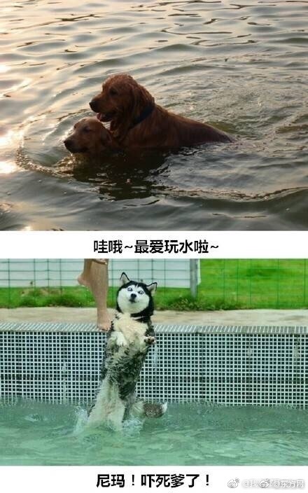 欧美按摩性爱