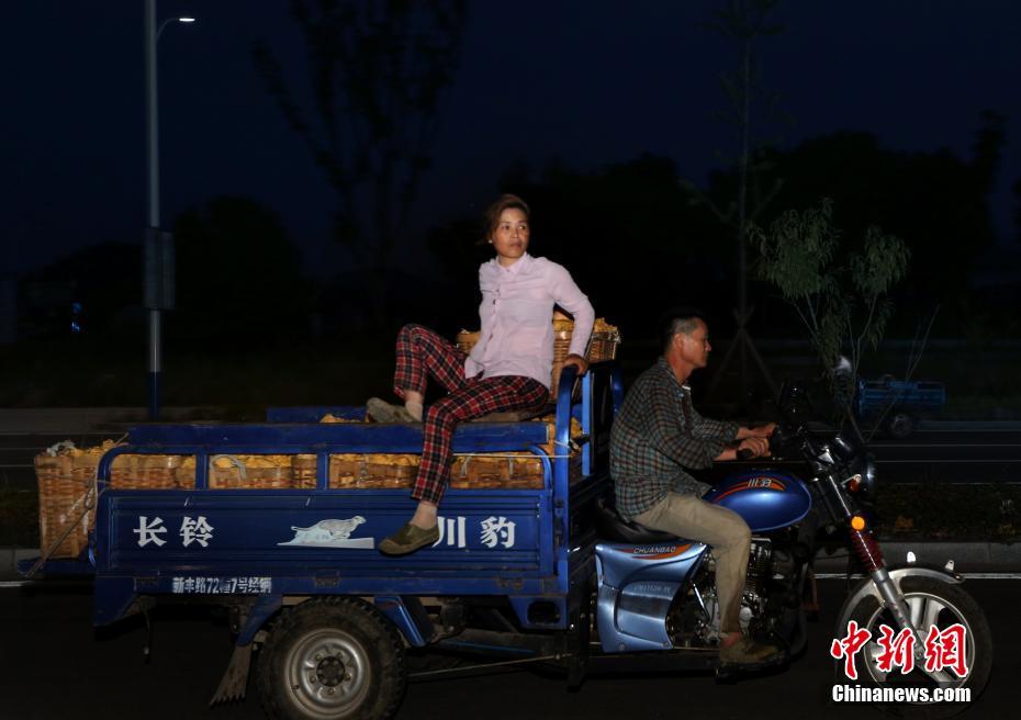 男人j桶女人p