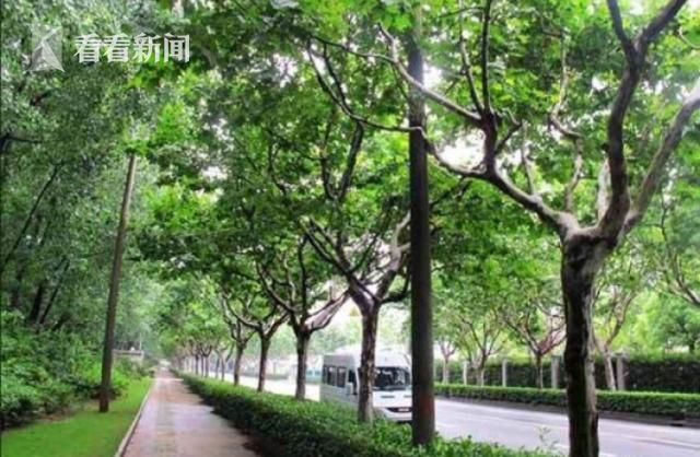 黄片小说