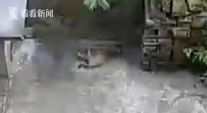 欧美肥妇潮喷