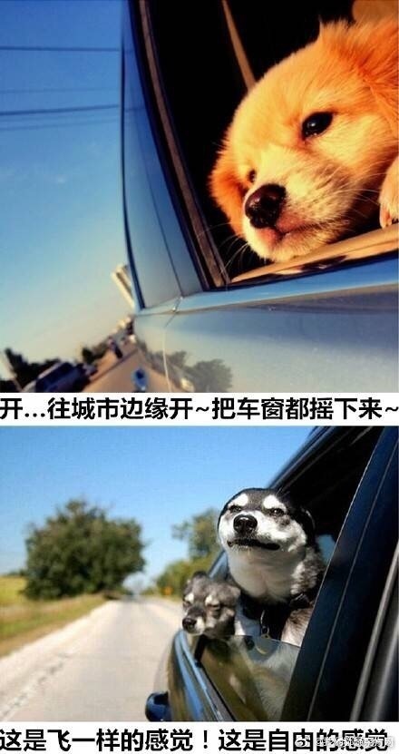 亚洲夫妻性爱自拍