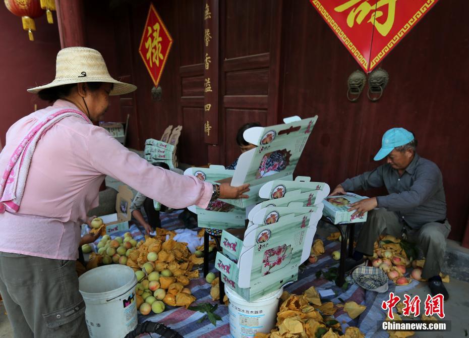 女人扒开腿秘 打扑克动漫原神