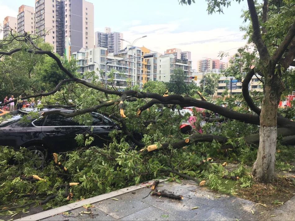 天堂网亚洲