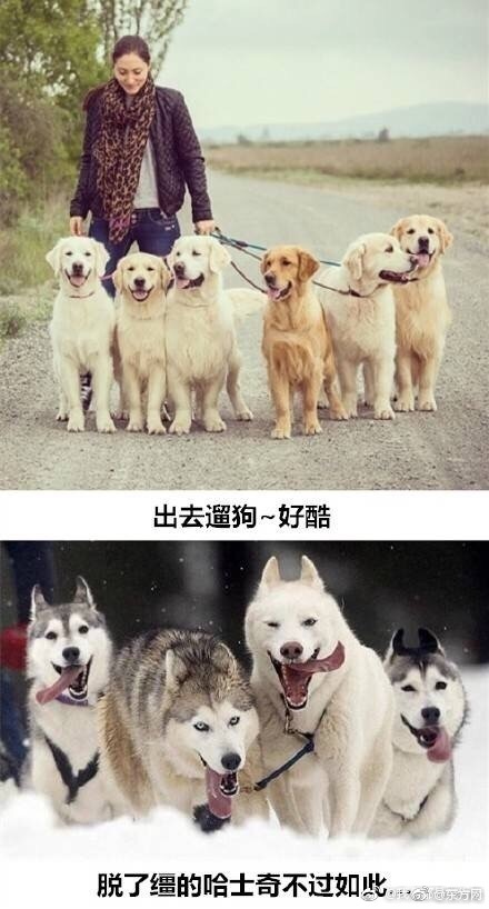 国产三级网站