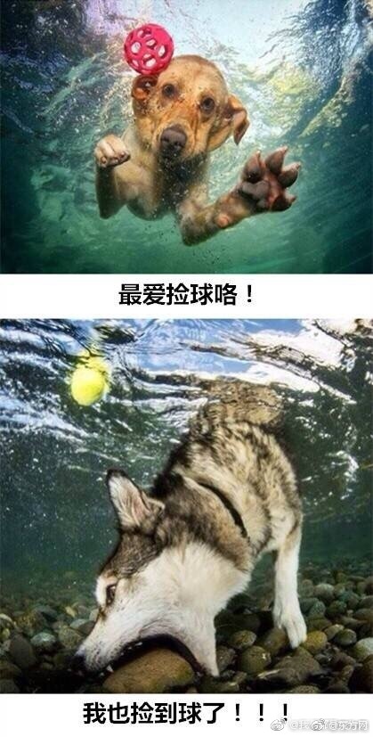 中国少妇非洲体验与黑人Hd