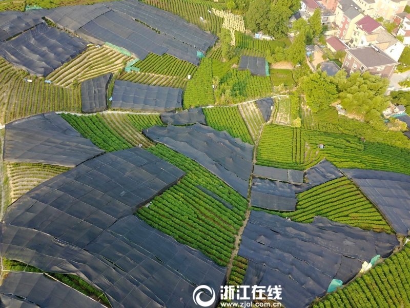 黄油游戏盒子大全