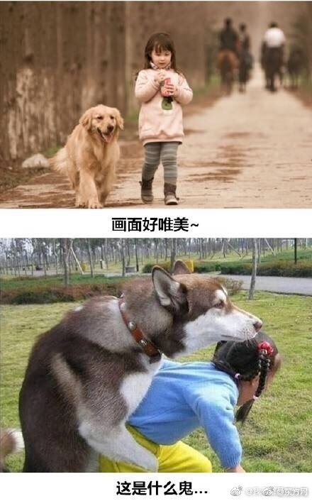 免费看一级高潮毛片