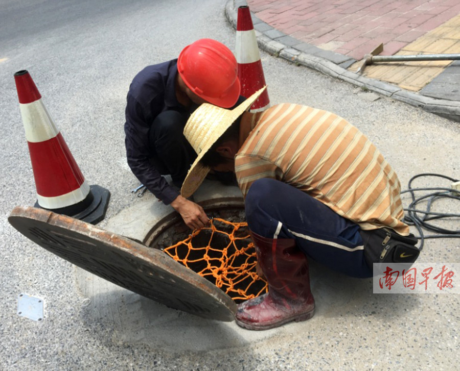 张柏芝门户大开照