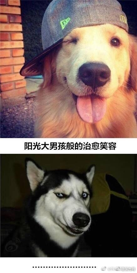 在线观看免费人成视频网站