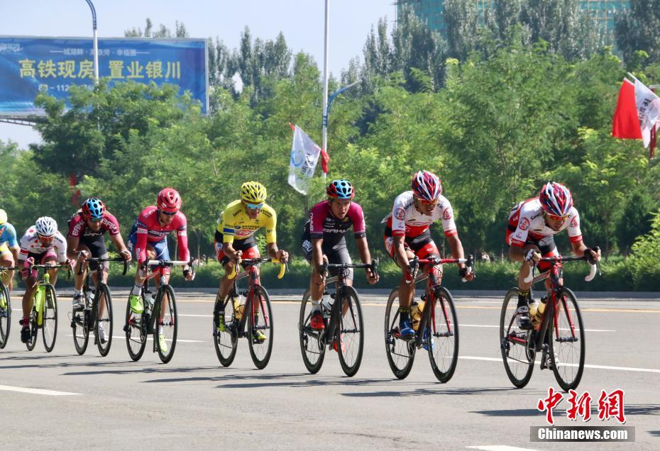 141 成人 网