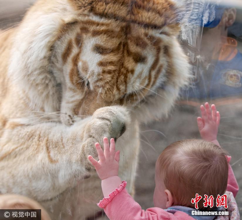 毛片一级