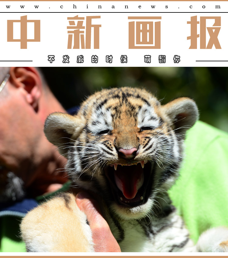 搜一个黄色的男人和女人日逼日批