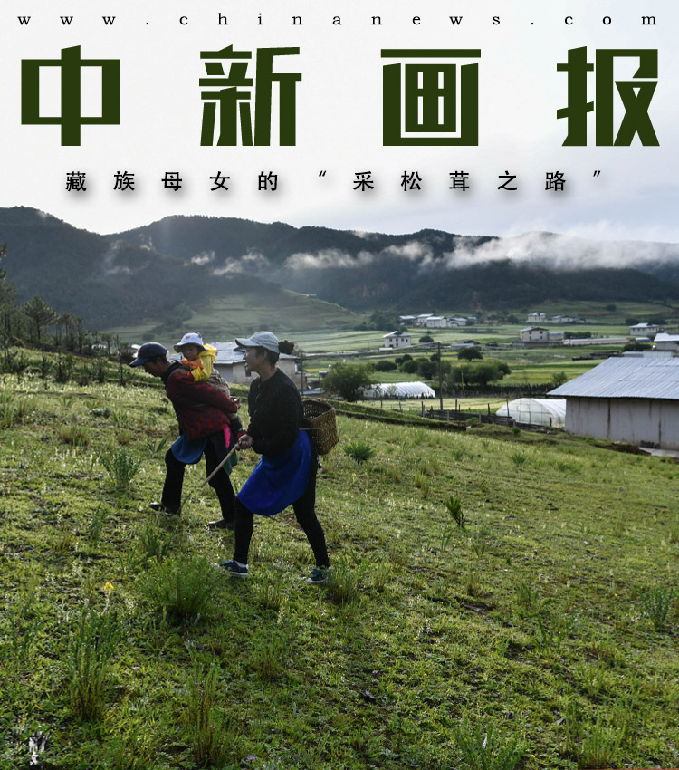 无码秘 人妻一区二区三区糖心