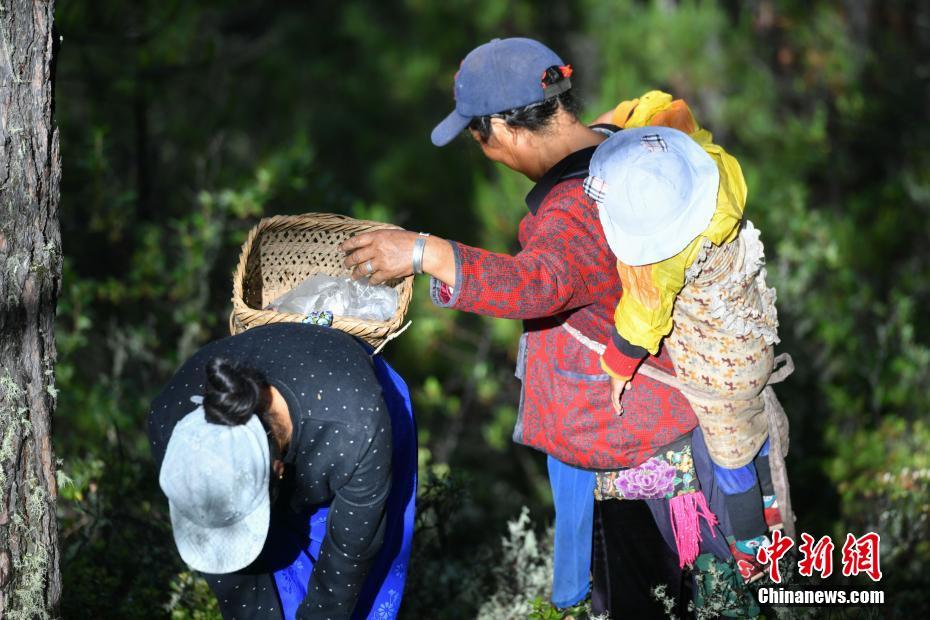 无码激情网