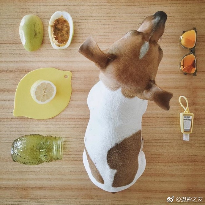 午夜无码视频
