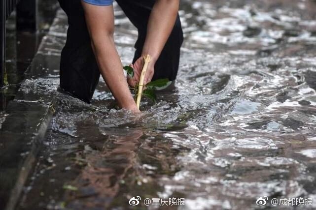 台灣早期限制級電影
