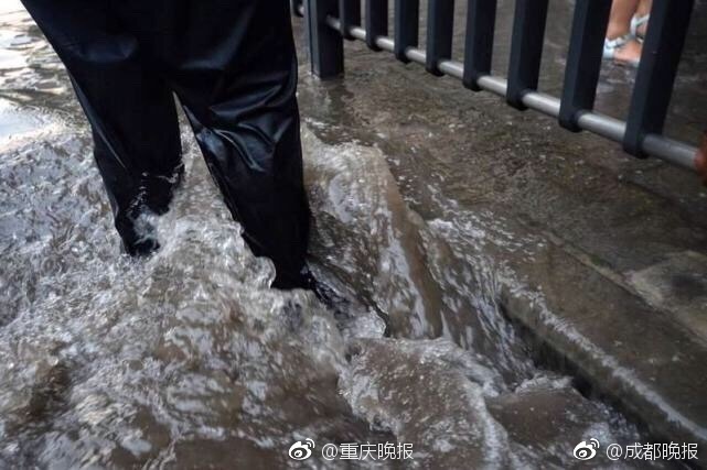 Av福利网站