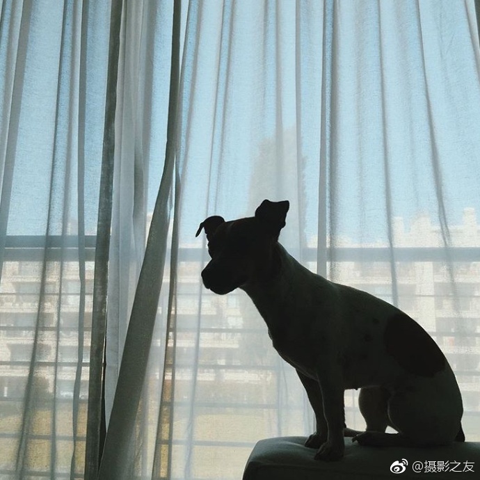 有最新的孕妇黄色淫秽片吗