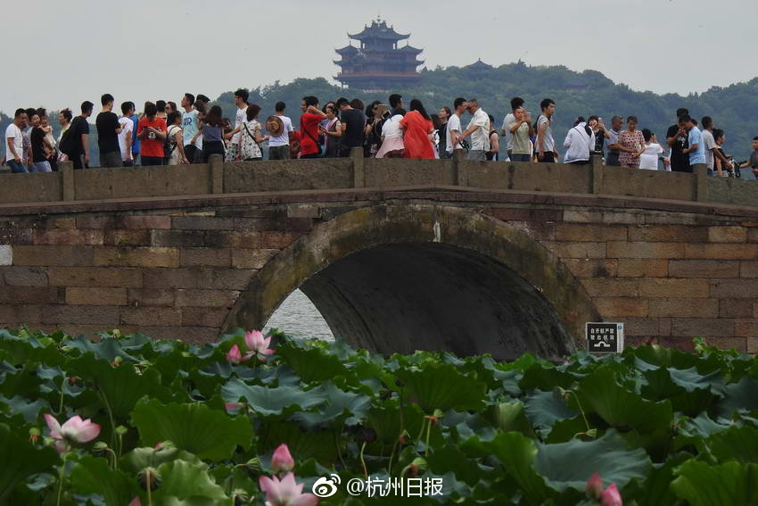 可以看女生隐私部位的软件