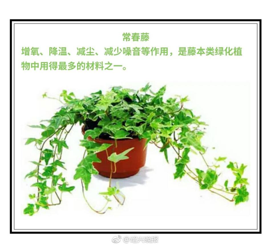 让子弹飞扒奶gif无删减