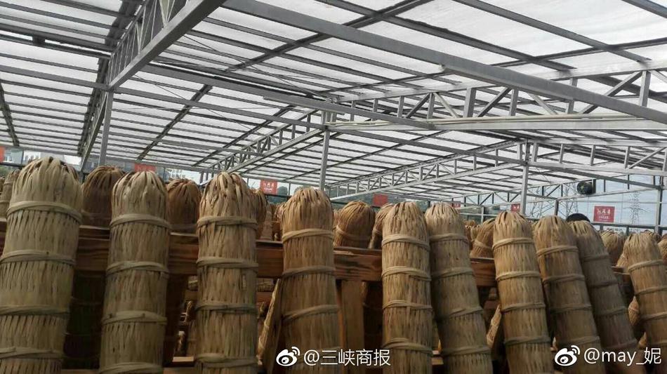 国产伦理精品一区二区三区玉蒲团