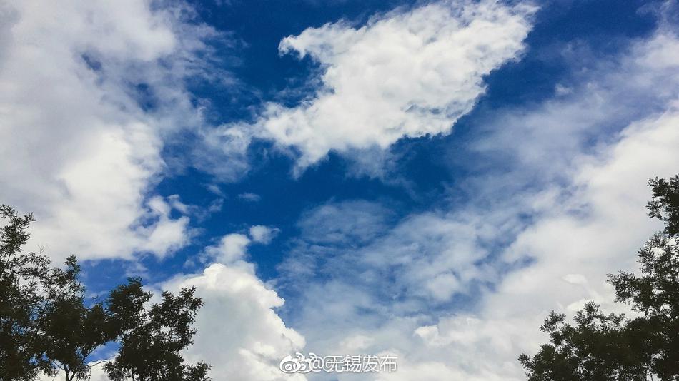 局长在车里含我奶头好爽视频