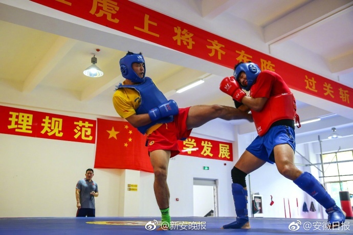 久久香蕉网