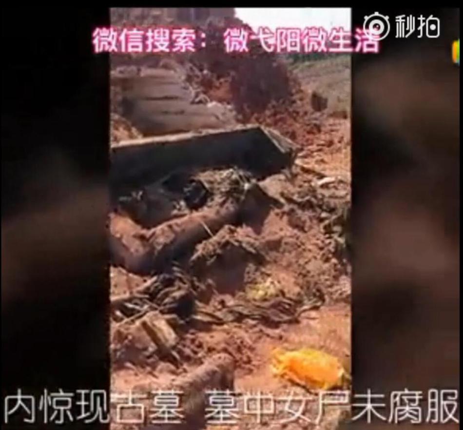 免费看真人直播