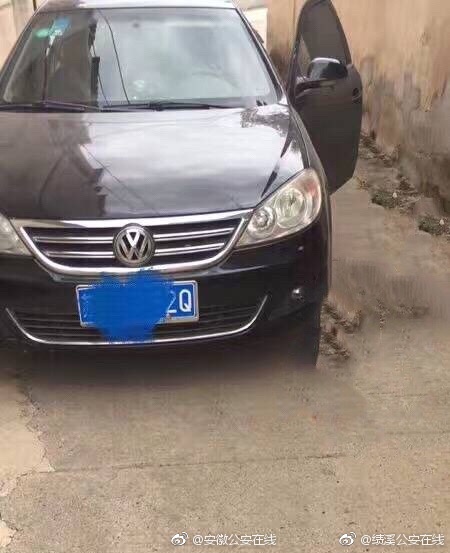 性片高清无码