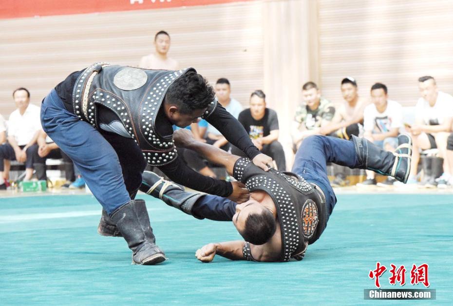看张柏芝下边毛毛