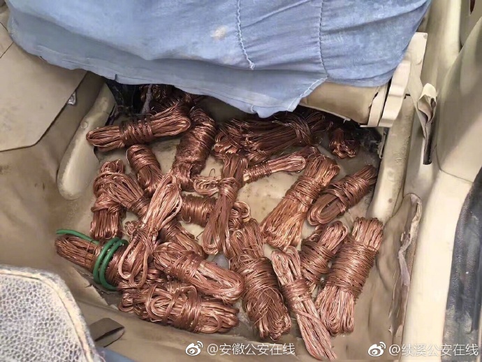 美女露100