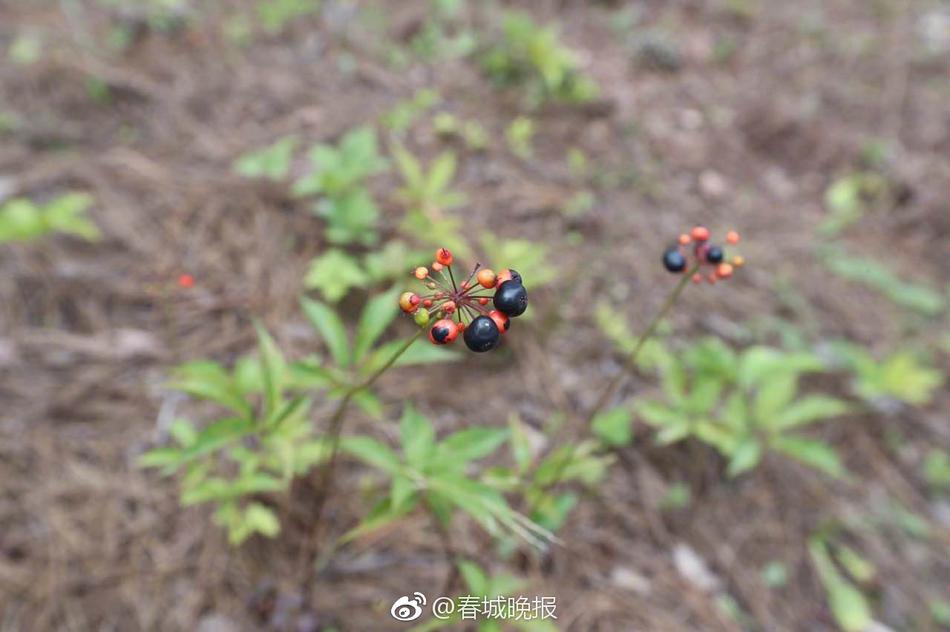 白歆惠李宗瑞