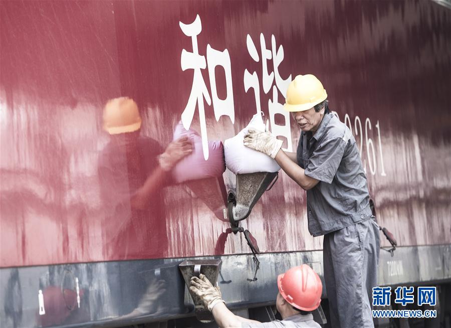 放置调教