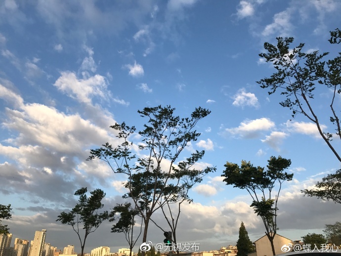真人一级片