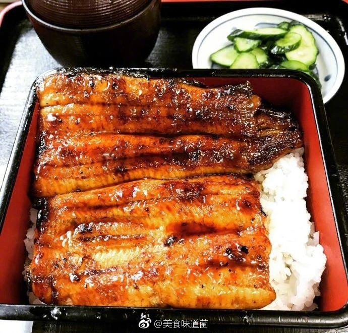 大象直播