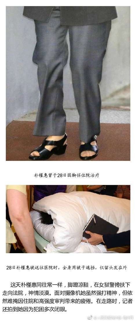 不知火舞黄片