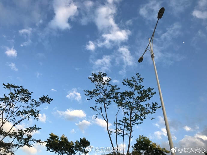 国产丰满人妻被黑人猛烈进入