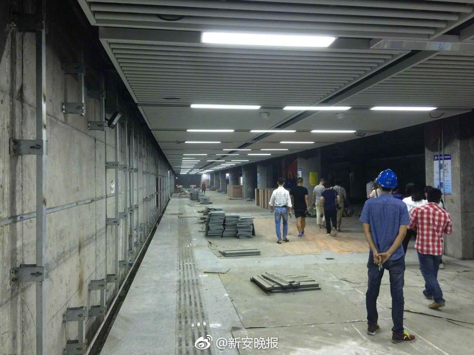 欧美短发
