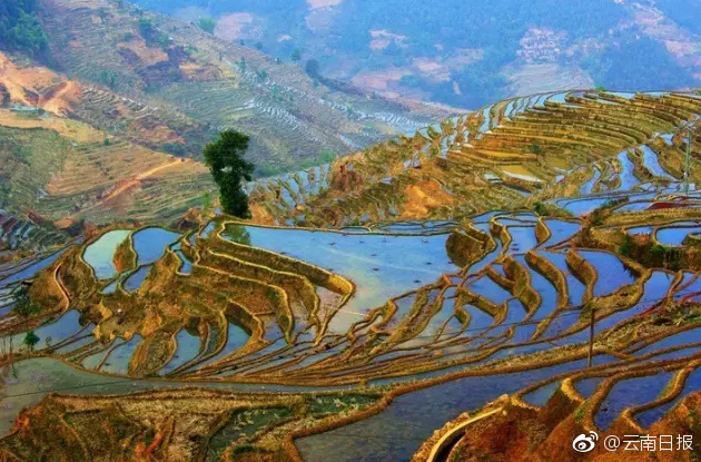 高清人妻资源
