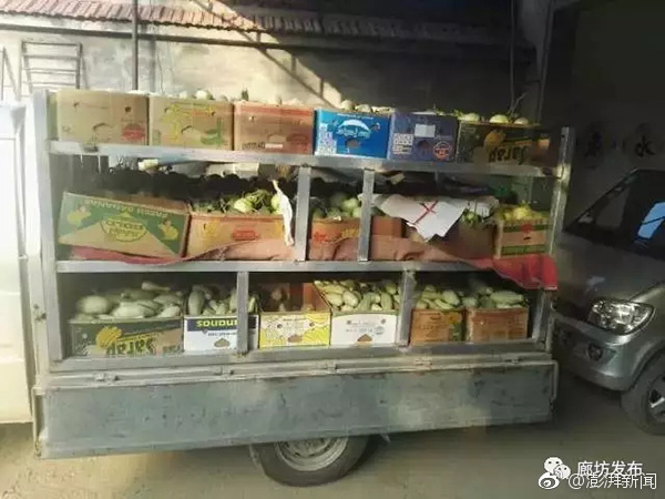 亚洲 免费 色情 网