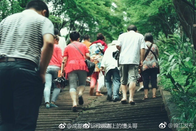黄色视频观看网站