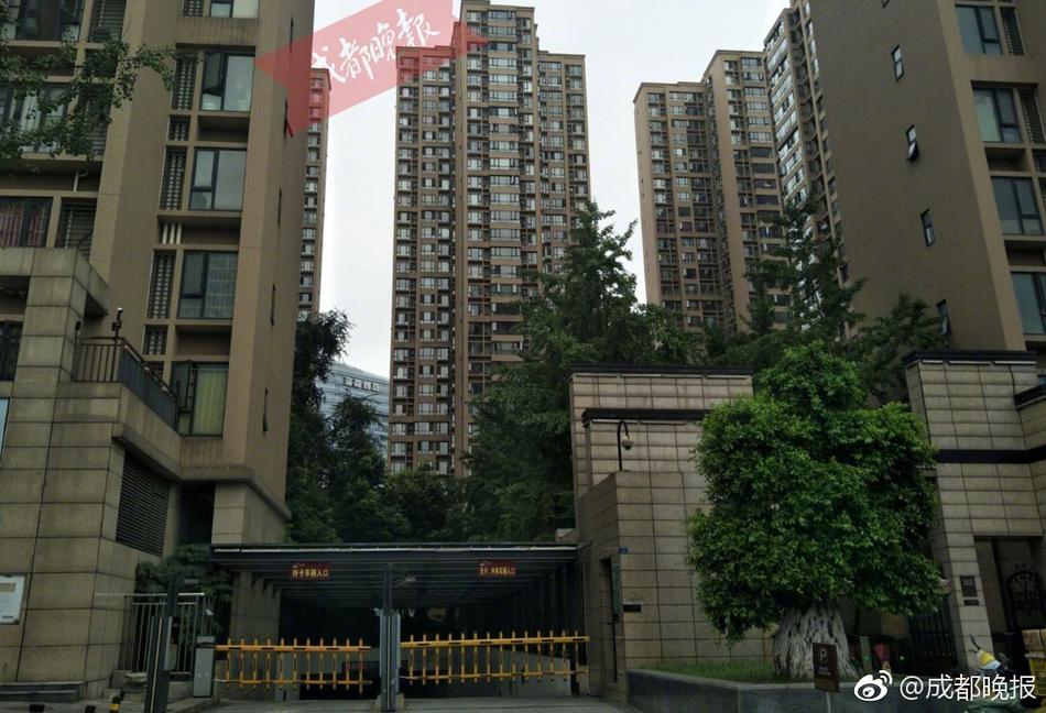 抖阴破解版下载