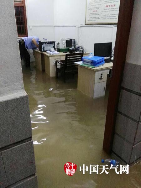 九九九视频
